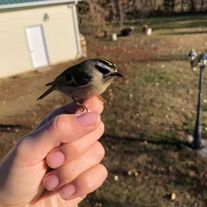 Meet your Posher, Brandy